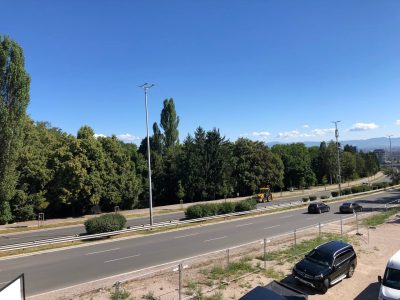 IMG_20220802_164646_768